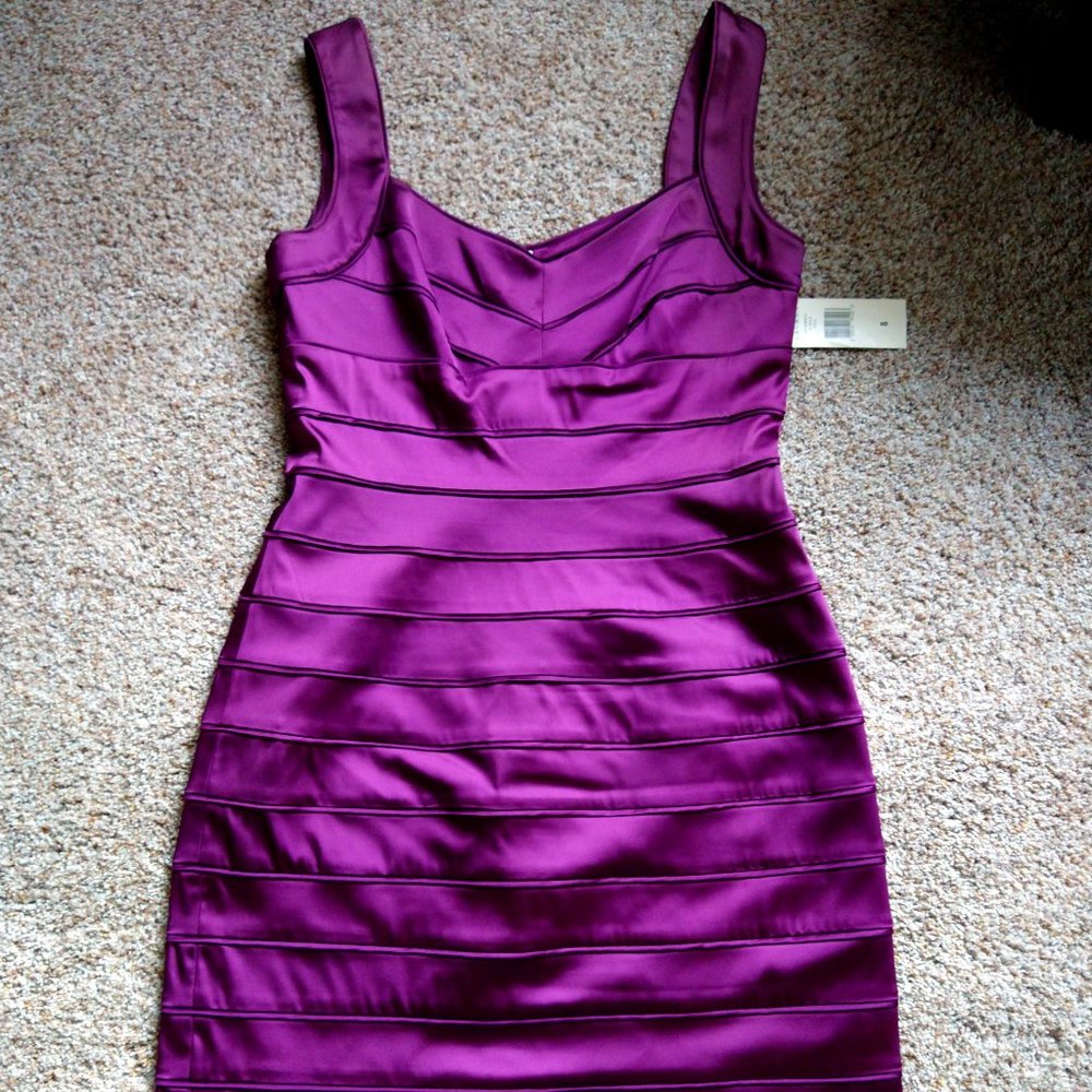 Purple Ralph Lauren Dress Size 8 NWT